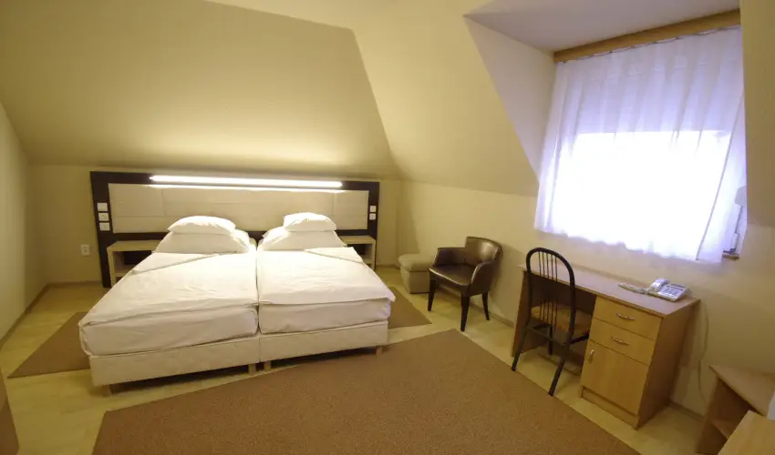 Hotel Vad�szk�rt Sz�kesfeh�rv�r - Szilveszter