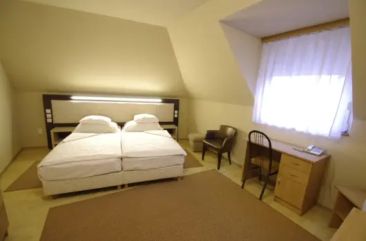 Hotel Vad�szk�rt - Szilveszter