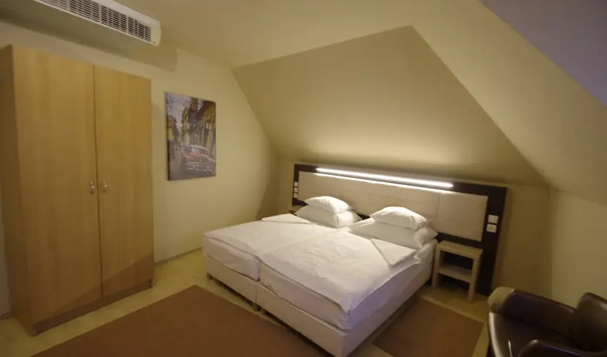 Hotel Vad�szk�rt Sz�kesfeh�rv�r - Szilveszter