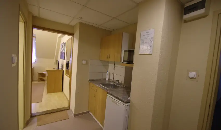 Hotel Vad�szk�rt Sz�kesfeh�rv�r - Szilveszter