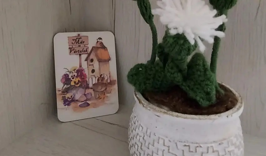 Pitypang Apartman Eger - Szilveszter (min. 2 j)