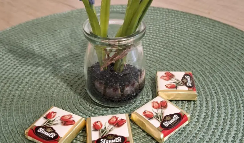 Pitypang Apartman Eger - Szilveszter (min. 2 j)