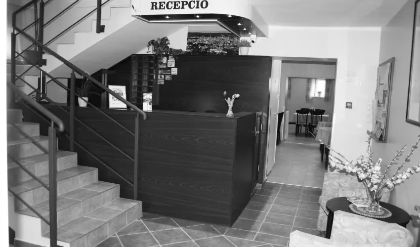 P�lus Panzi� Sopron - Szilveszter 