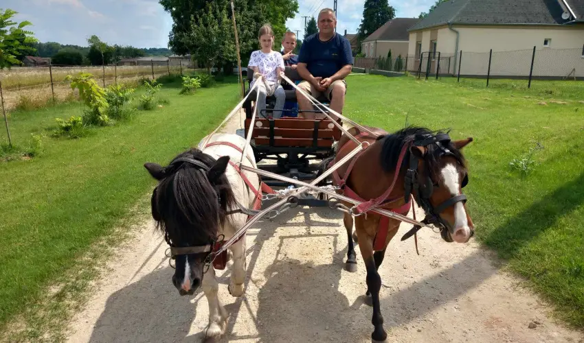 P�ni Kuck� Vend�gh�z �s Minifarm  Hossz�v�lgy - Szilveszter