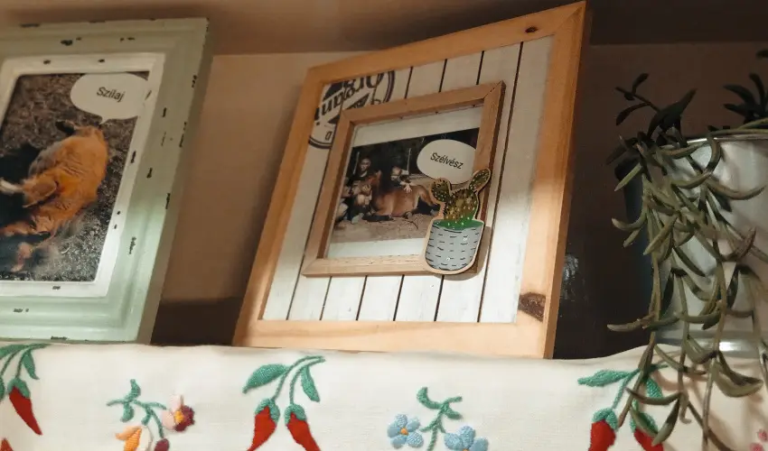 P�ni Kuck� Vend�gh�z �s Minifarm  Hossz�v�lgy - Szilveszter