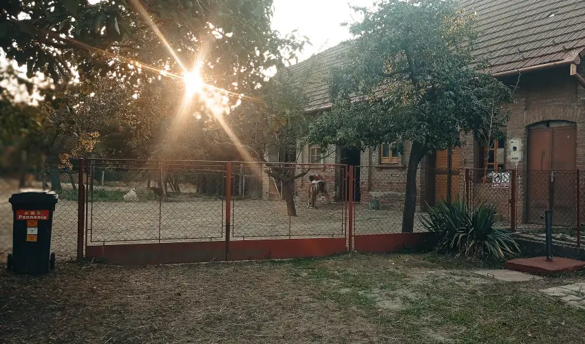 P�ni Kuck� Vend�gh�z �s Minifarm  Hossz�v�lgy - Szilveszter