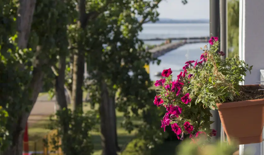 Port tterem & Panzi Balatonmriafrd - Szilveszter - teljes elrefizetssel