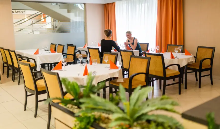 Harknyi Psoriasis Centrum Harkny - Szilveszteri pezsgs (min. 2 j)