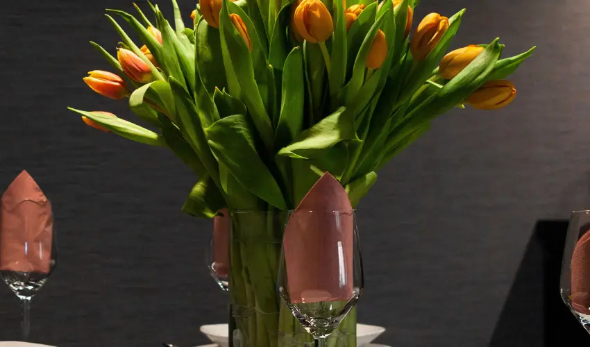 R31 Residence Srvr - Szilveszter (min. 2 j)