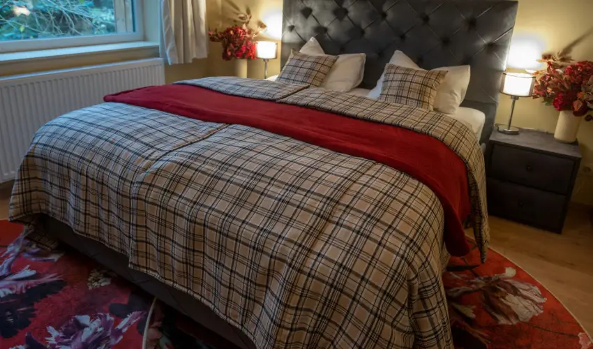 reBORONA Vendghz rsg riszentpter - Szilveszter (min. 3 j)