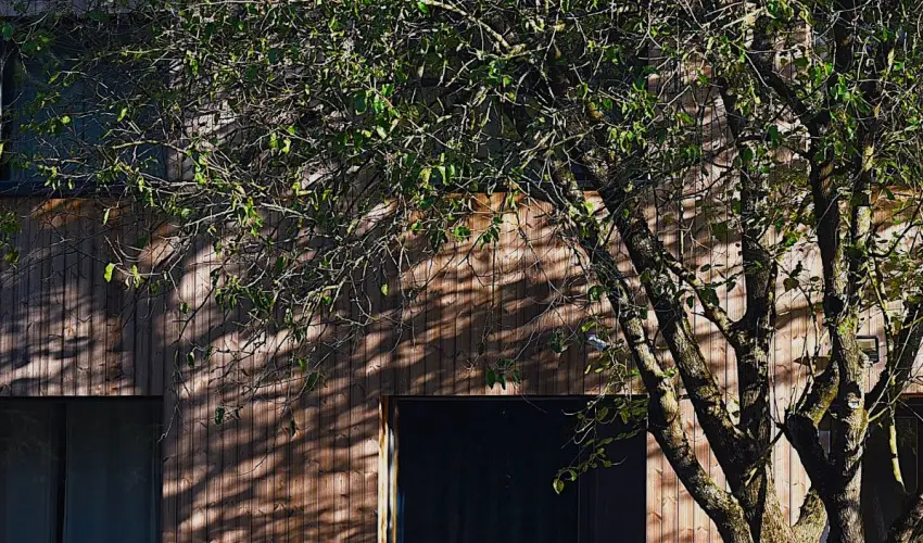 reBORONA Vendghz rsg riszentpter - Szilveszter (min. 3 j)