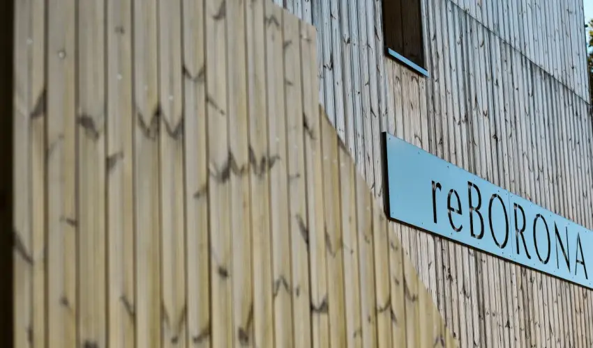 reBORONA Vendghz rsg riszentpter - Szilveszter (min. 3 j)