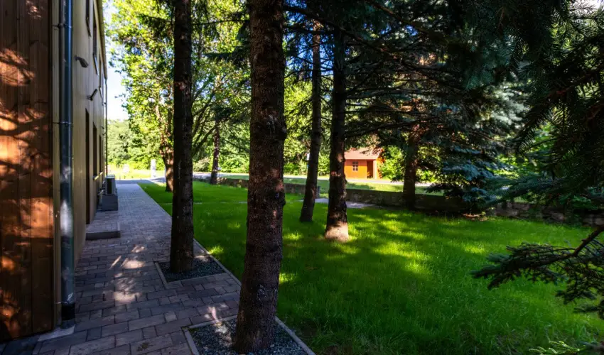 reBORONA Vendghz rsg riszentpter - Szilveszter (min. 3 j)