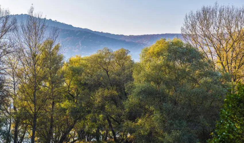 Royal Club Hotel Visegrd - Szilveszter (min. 4 j)