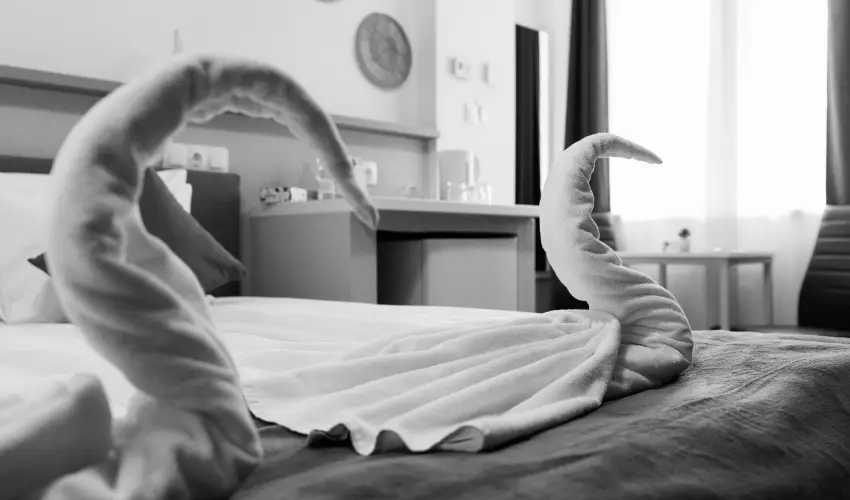 Safari Hotel Szeged - Szilveszter