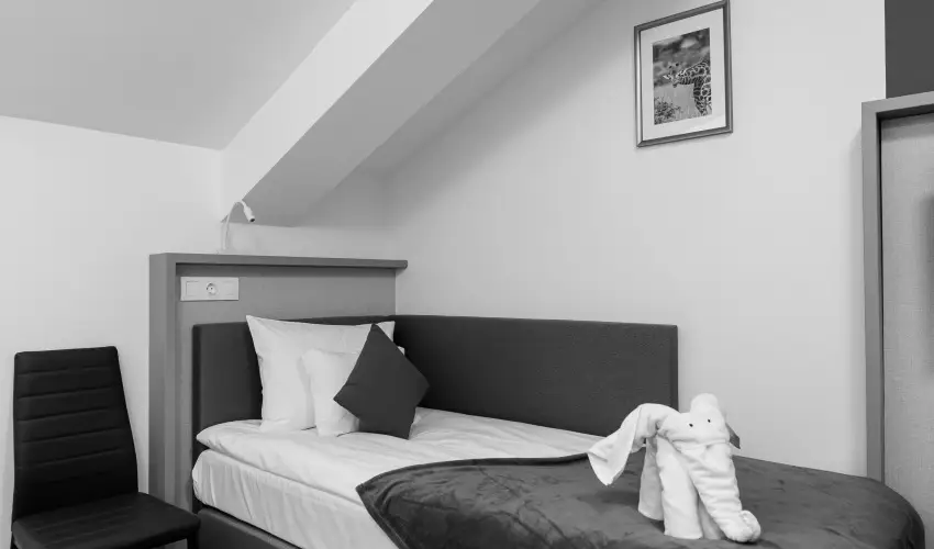 Safari Hotel Szeged - Szilveszter