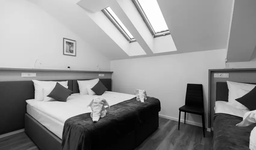 Safari Hotel Szeged - Szilveszter