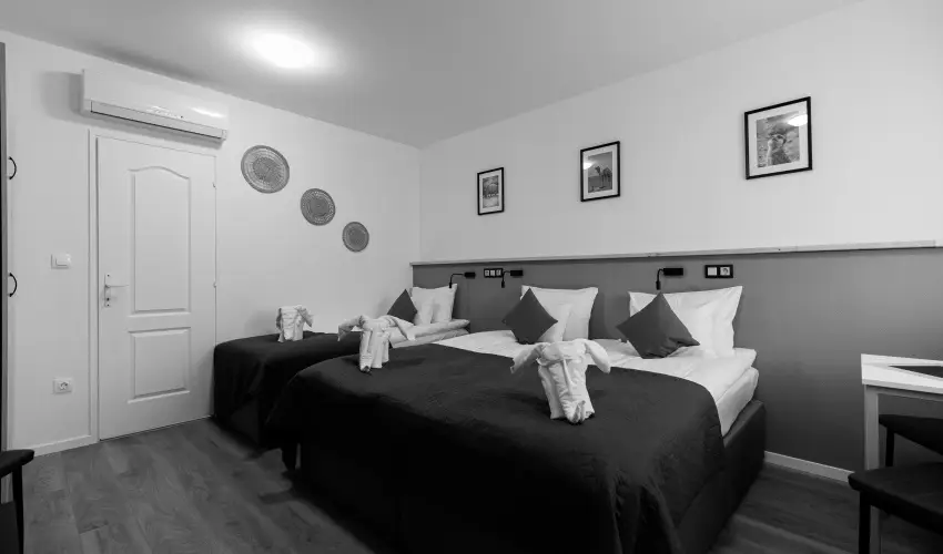 Safari Hotel Szeged - Szilveszter