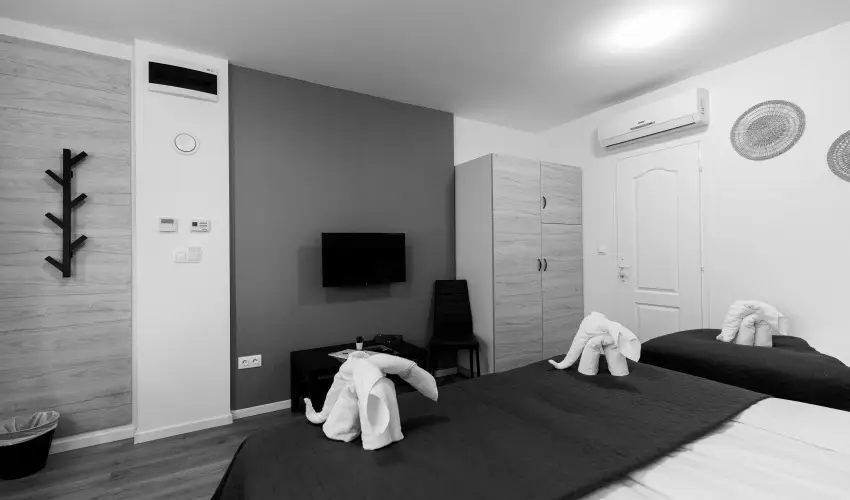 Safari Hotel Szeged - Szilveszter