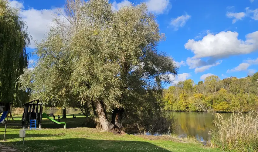 S�ri Udvar Dunakiliti - Szilveszter