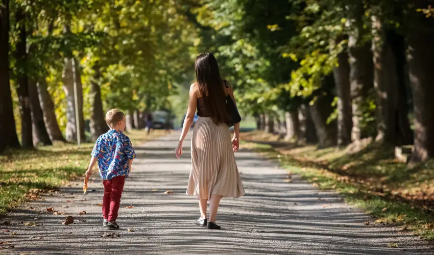 Sasr�ti Vad�szkast�ly Almamell�k - Szilveszter