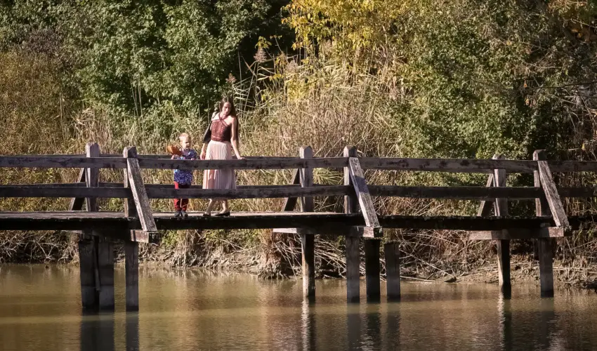 Sasr�ti Vad�szkast�ly Almamell�k - Szilveszter