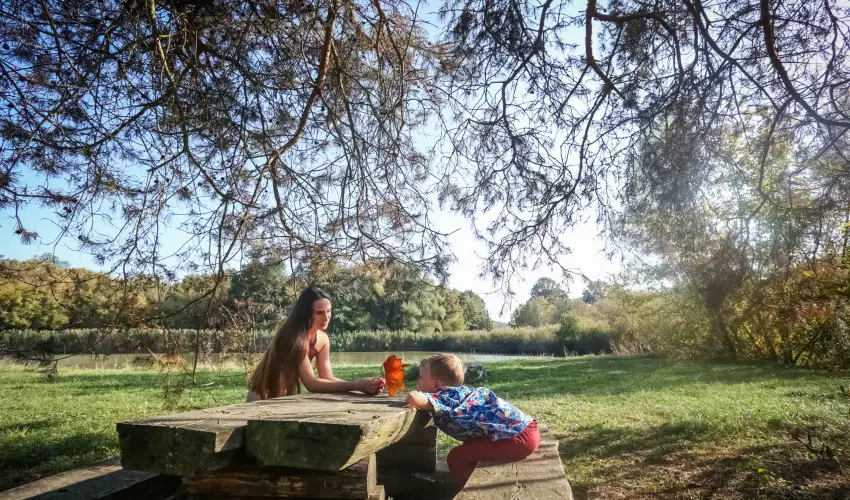 Sasr�ti Vad�szkast�ly Almamell�k - Szilveszter