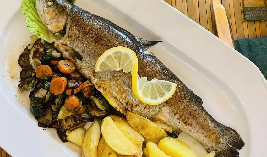 Sasr�ti Vad�szkast�ly Almamell�k - Szilveszter