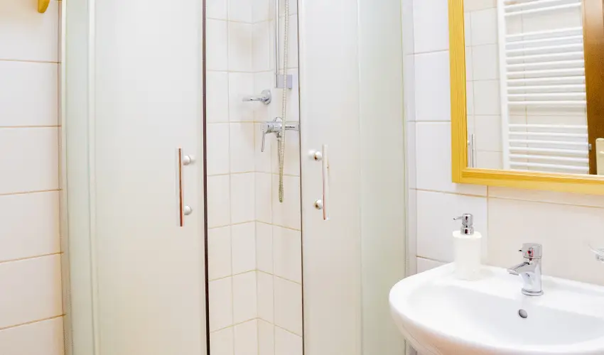 Sasr�ti Vad�szkast�ly Almamell�k - Szilveszter