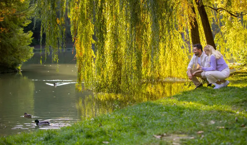 Ambient Hotel & ThermalSPA**** Sikonda - Szilveszter (min. 2 j)