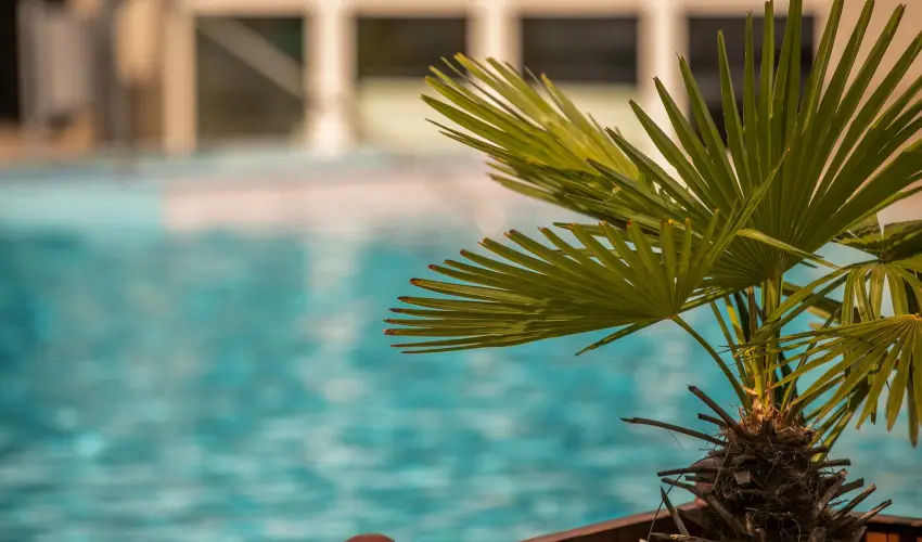 Ambient Hotel & ThermalSPA**** Sikonda - Szilveszter (min. 2 j)