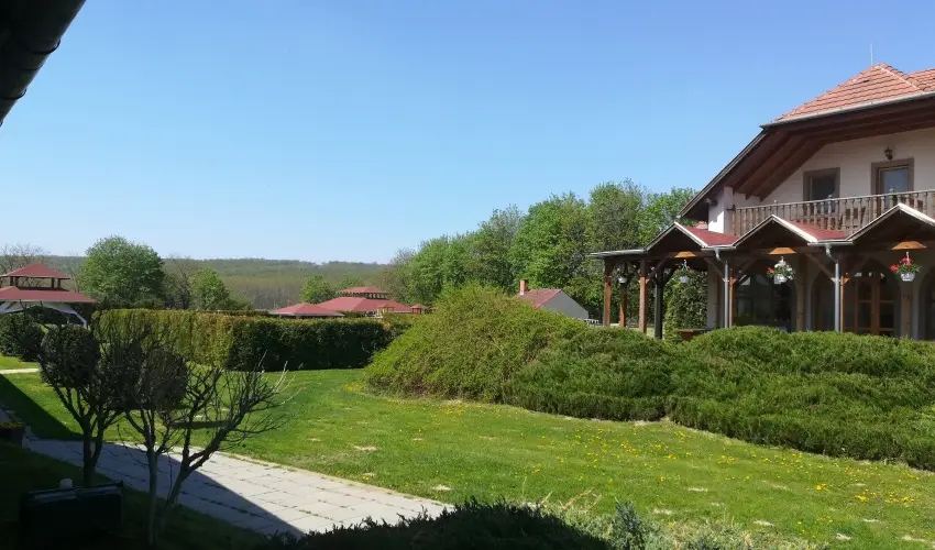 Sokor Fogad Sokorptka - Szilveszter