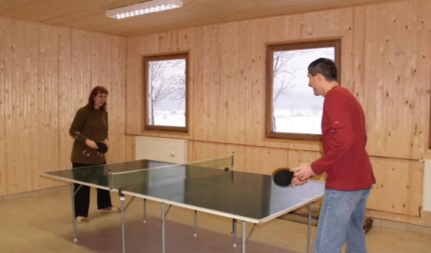 Sokor Fogad Sokorptka - Szilveszter