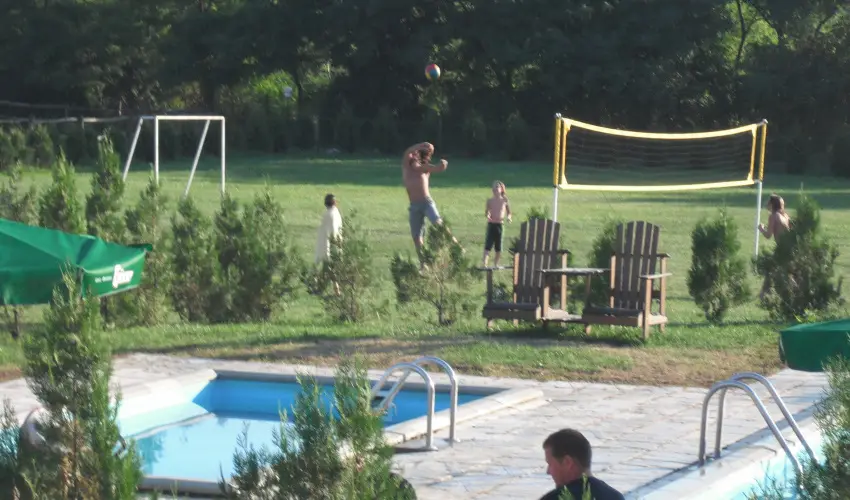 Sokor Fogad Sokorptka - Szilveszter