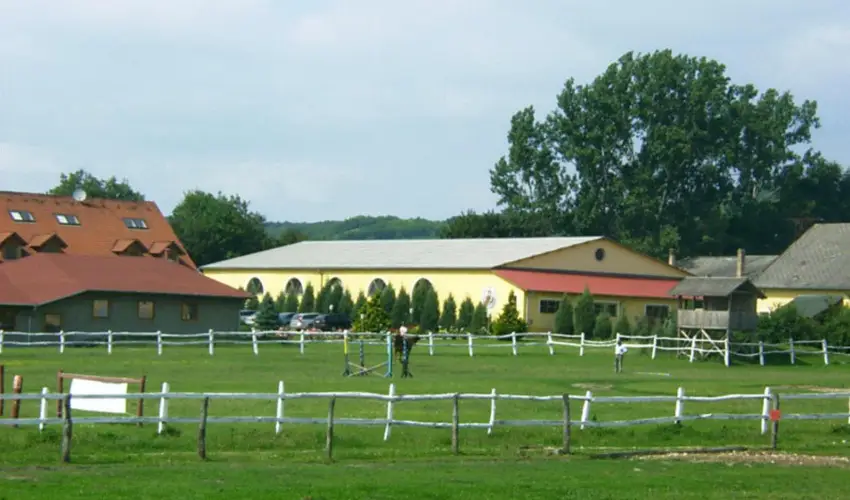 Sokor Fogad Sokorptka - Szilveszter