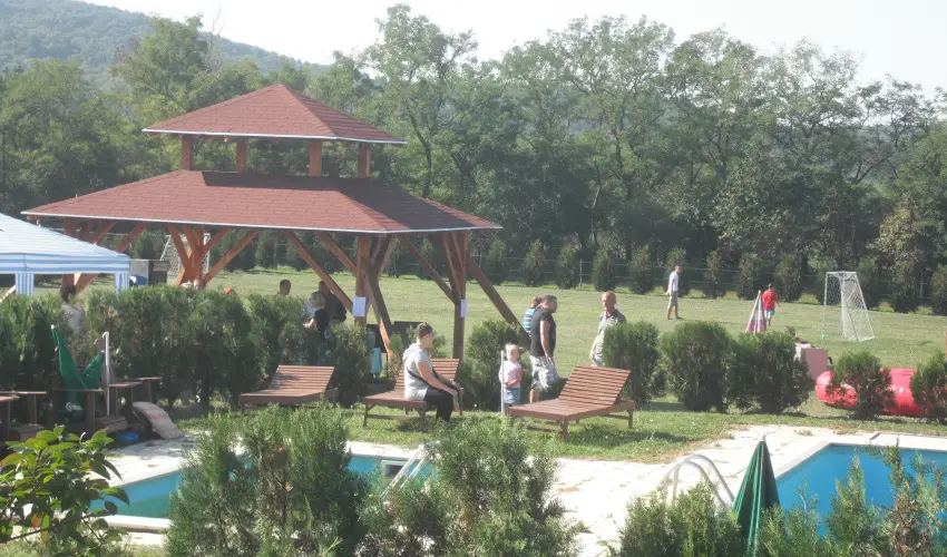 Sokor Fogad Sokorptka - Szilveszter