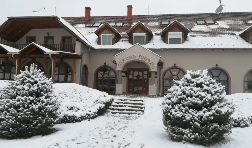 Sokor Fogad Sokorptka - Szilveszter