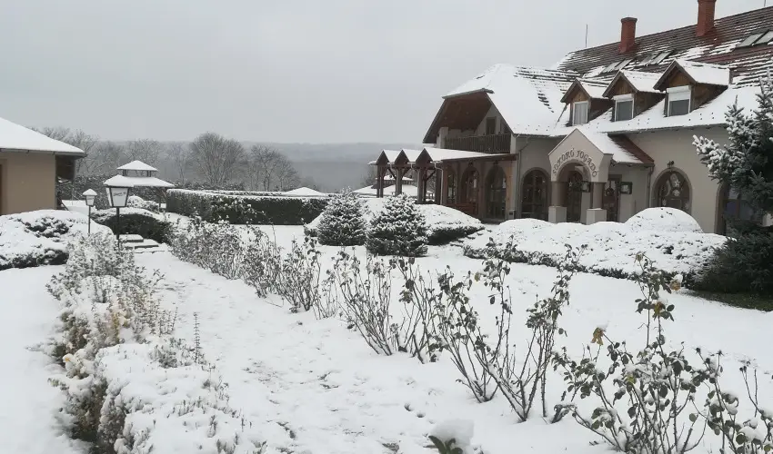 Sokor Fogad Sokorptka - Szilveszter