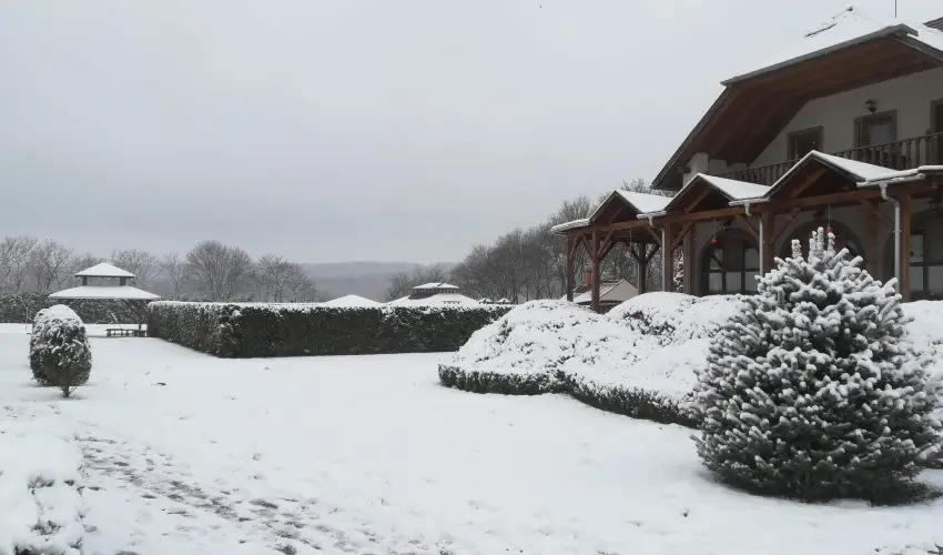 Sokor Fogad Sokorptka - Szilveszter