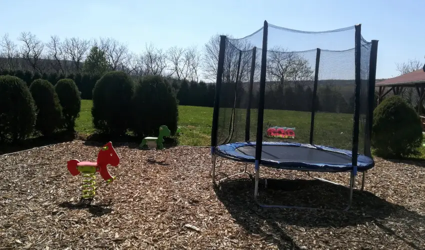 Sokor Fogad Sokorptka - Szilveszter