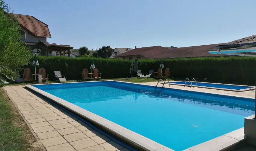 Sokor Fogad Sokorptka - Szilveszter