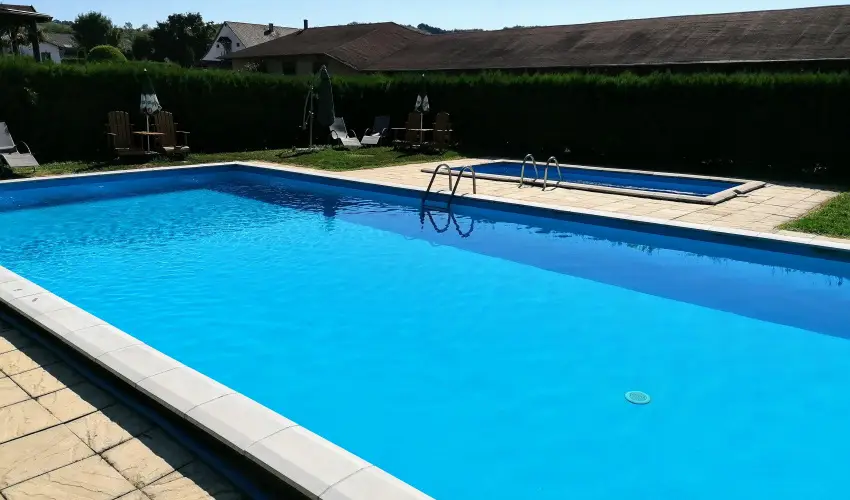 Sokor Fogad Sokorptka - Szilveszter