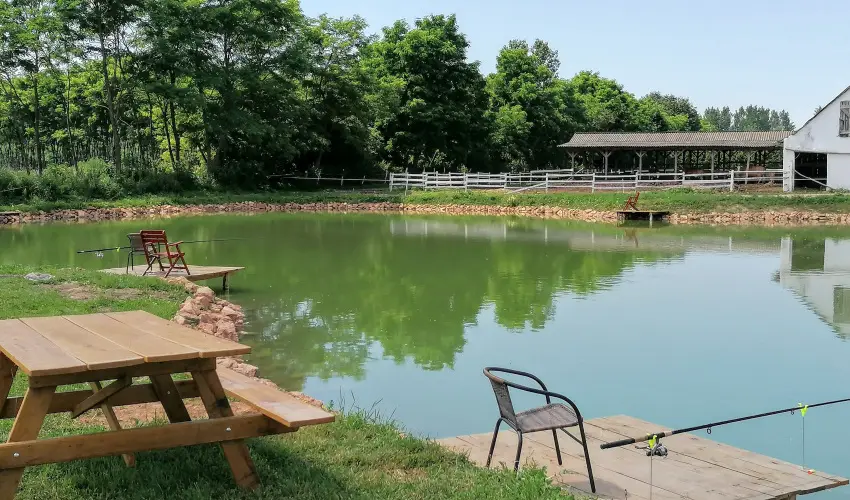 Sokor Fogad Sokorptka - Szilveszter