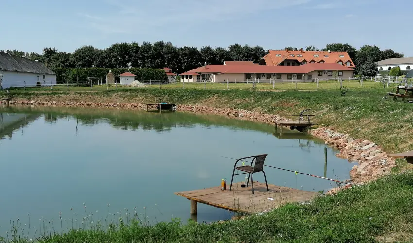 Sokor Fogad Sokorptka - Szilveszter