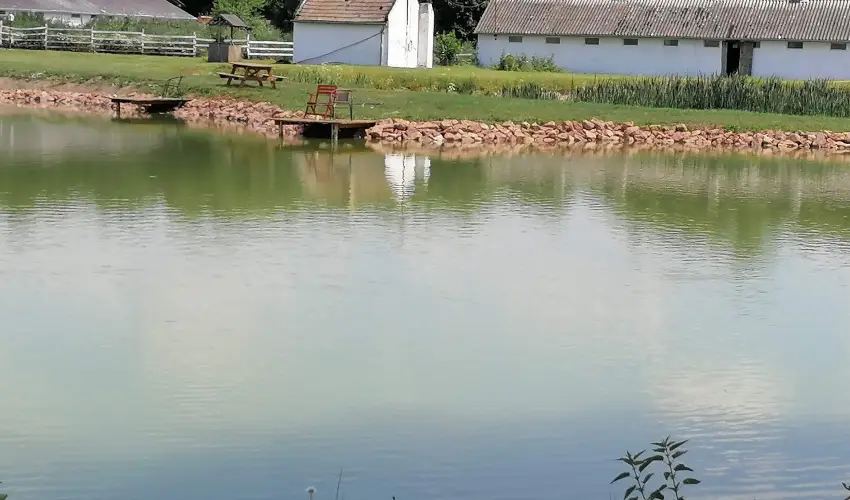 Sokor Fogad Sokorptka - Szilveszter