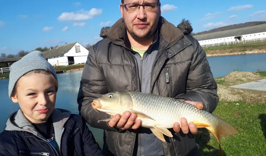 Sokor Fogad Sokorptka - Szilveszter