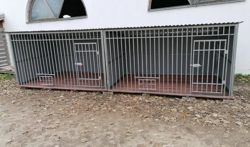 Sokor Fogad Sokorptka - Szilveszter