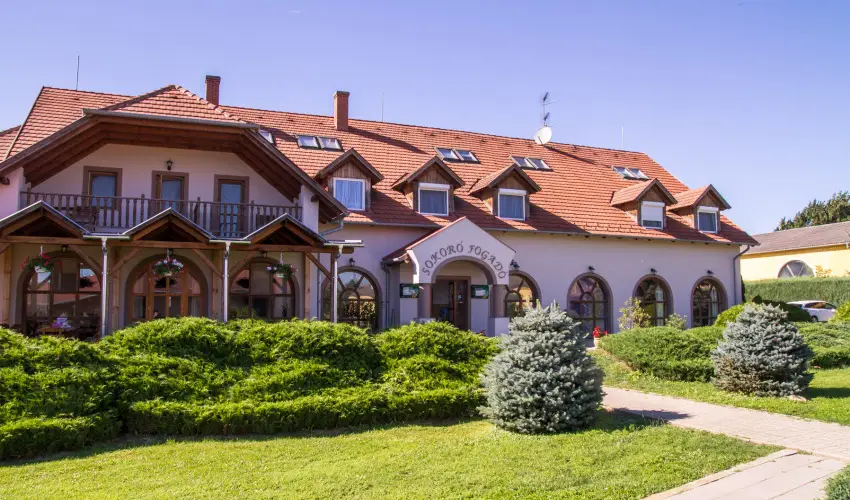 Sokor Fogad Sokorptka - Szilveszter