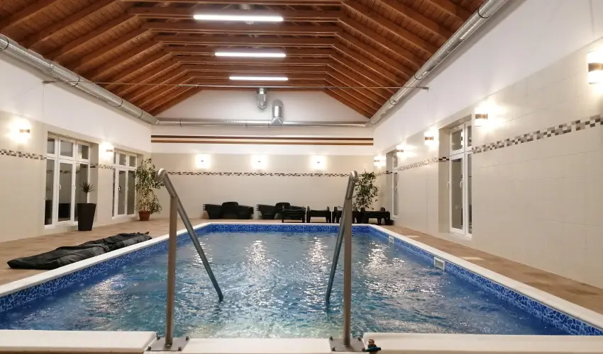 Sokor Fogad Sokorptka - Szilveszter