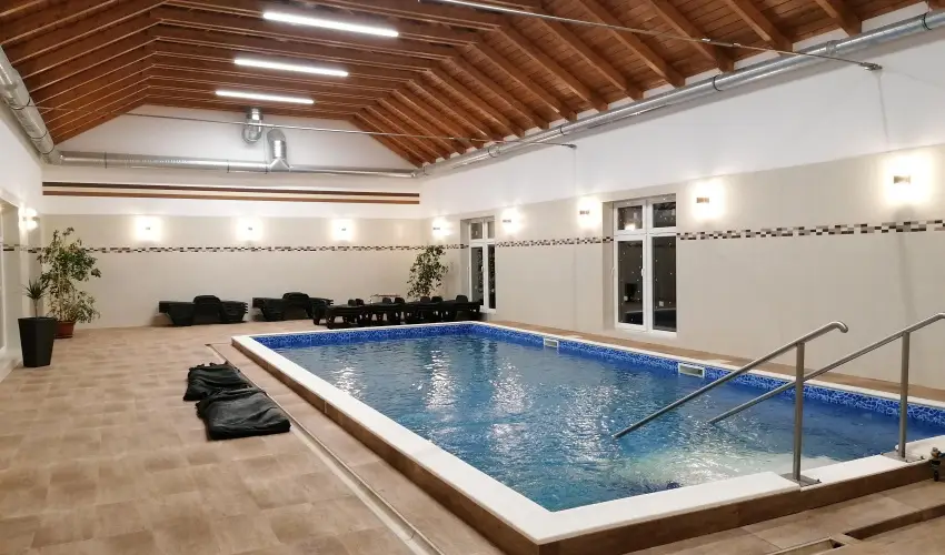 Sokor Fogad Sokorptka - Szilveszter